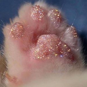 Meet your Posher, Mia